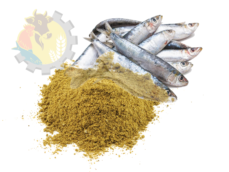 مزیت استفاده از پودر ماهی در جیره ی غذای ماهی چیست؟